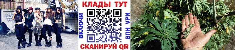 Цена Петровск Канабис  блэк спрут tor  Гашиш  Меф мяу мяу  APVP  Галлюциногенные грибы 