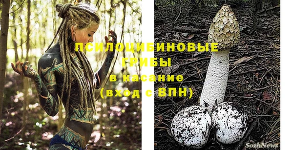 ALPHA PVP Горняк