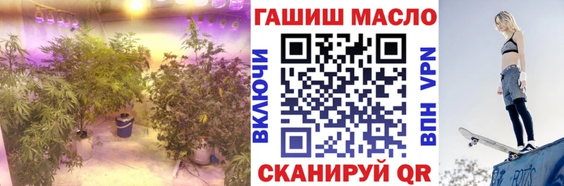 где купить наркоту  Петровск  ТГК THC oil 