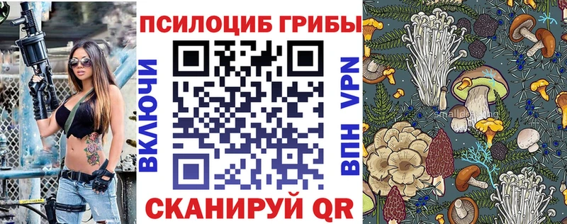 где продают   Петровск  Псилоцибиновые грибы GOLDEN TEACHER 